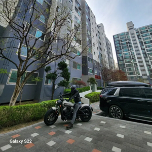 인디언 스카우트 바버