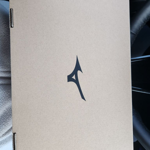 미즈노 모렐리아 프로 풋살화