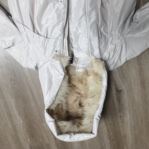 조이너스 여성 오리여우털55