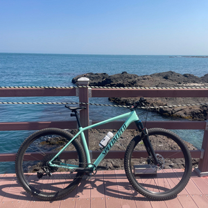 에픽 MTB 하드테일 콤프(L)