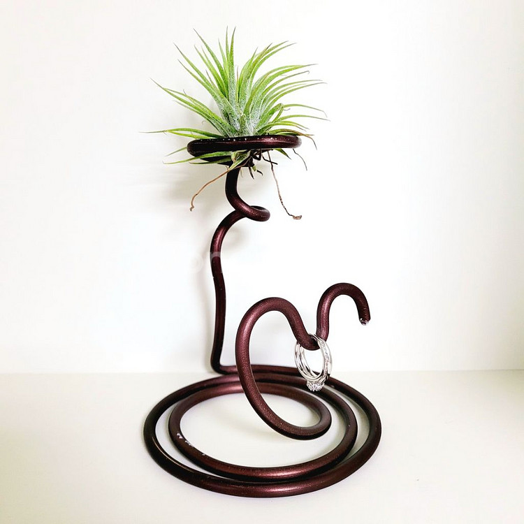 공중식물 이오난사 + 이오난사 전용(멀티) 스탠드--2