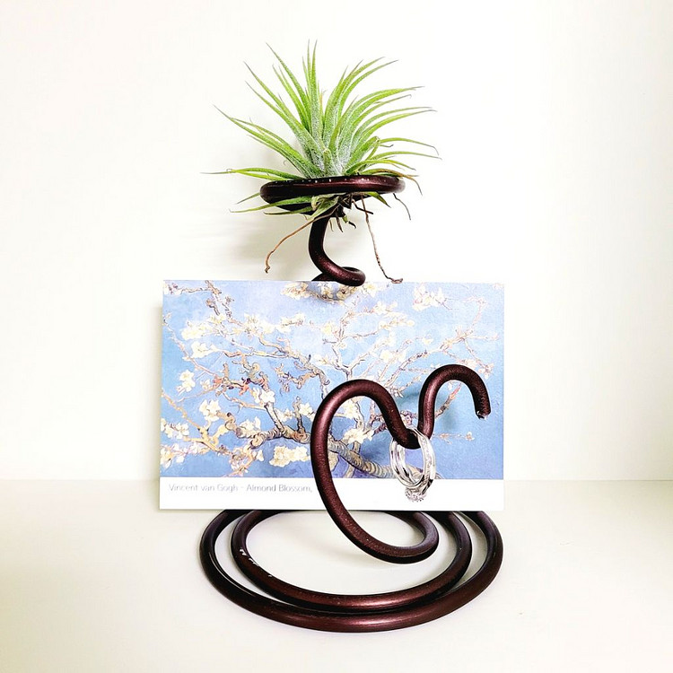 공중식물 이오난사 + 이오난사 전용(멀티) 스탠드--3