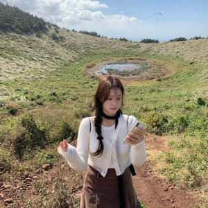 리즈 더위시 벨벳 미니 스커트 브라운 m