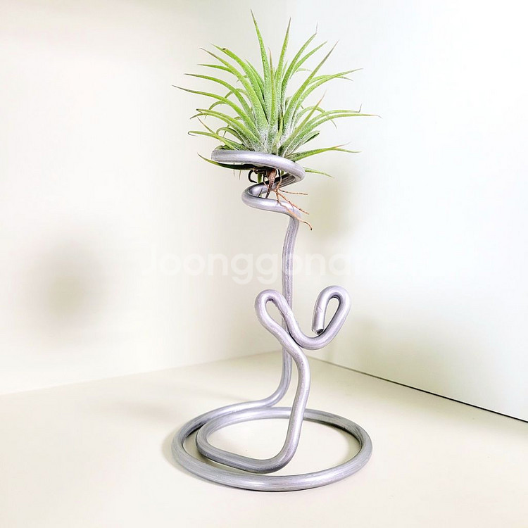 공중식물 이오난사 + 이오난사 전용(멀티) 스탠드--0