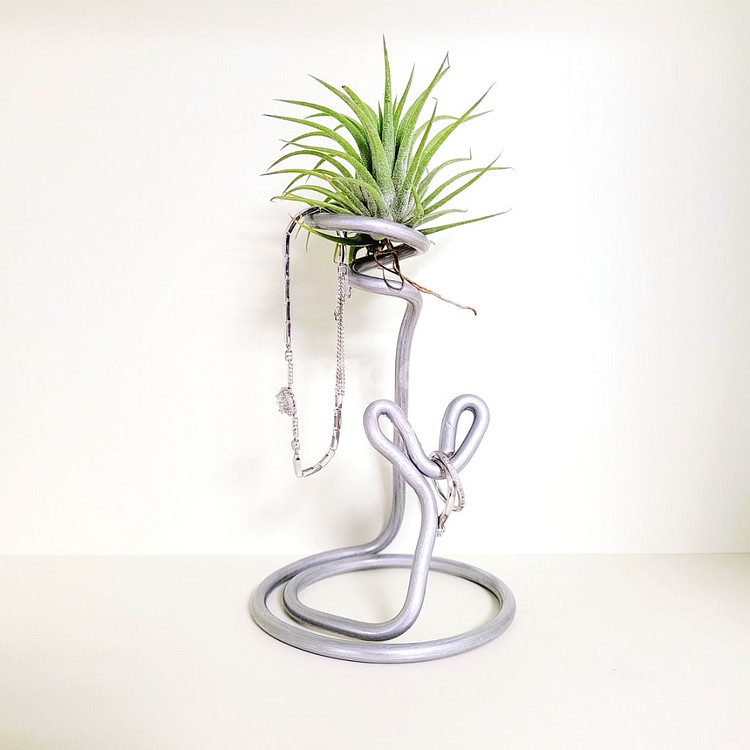 공중식물 이오난사 + 이오난사 전용(멀티) 스탠드--1