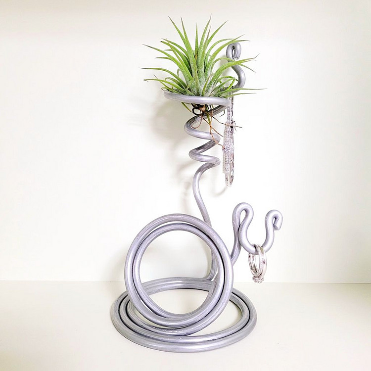 공중식물 이오난사 + 이오난사 전용(멀티) 스탠드--0