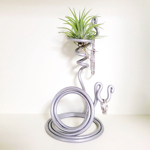 공중식물 이오난사 + 이오난사 전용(멀티) 스탠드