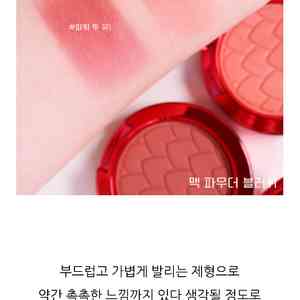 맥한정판브러셔