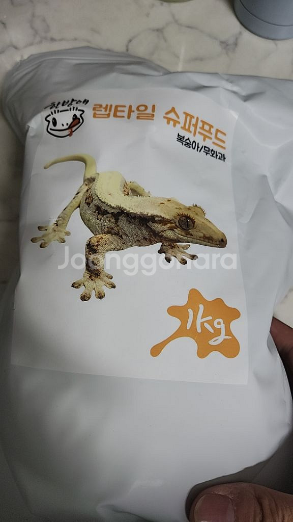 한방애 도마뱀 크레스티게코 크레 슈퍼푸드 800g--0