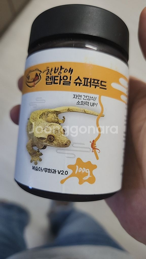 한방애 도마뱀 크레스티게코 크레 슈퍼푸드 800g--2