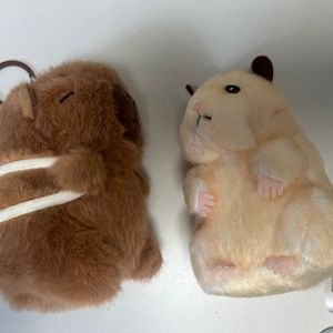 제베원 인형 굴카피바라, 뚱쭝햄 (스케로쿠) 양도