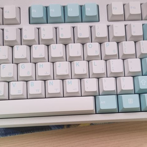 neo80 화이트