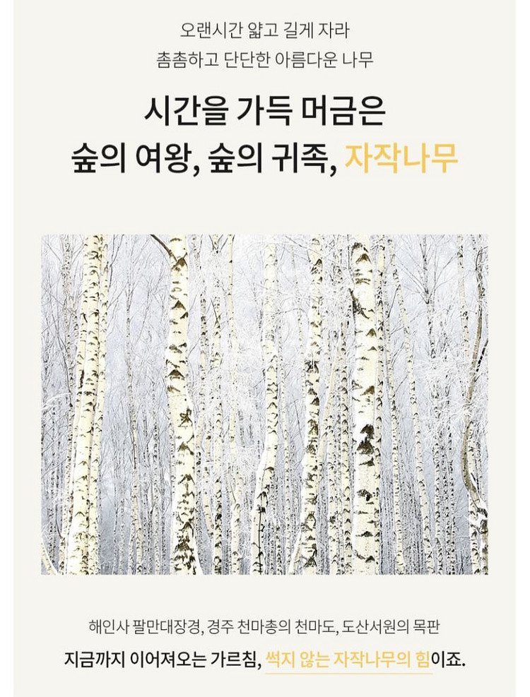 엄마노리 노리베드 침대(슈퍼싱글 양쪽오픈형)--7