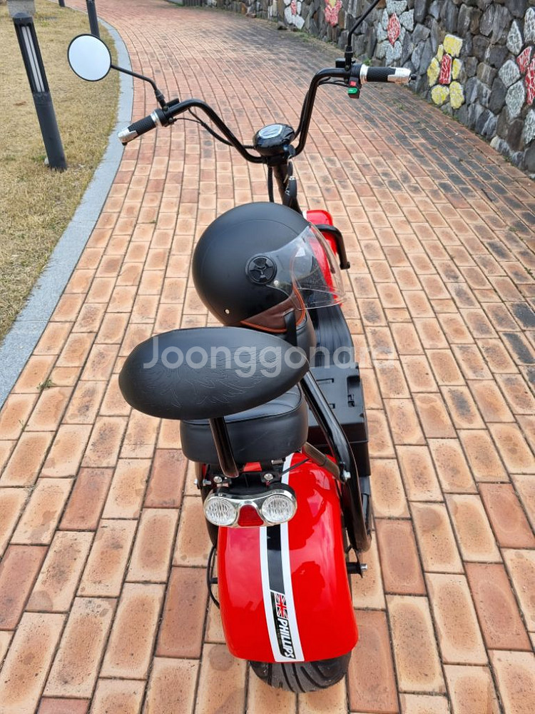 필립스 할리2인용 전기스쿠터--3