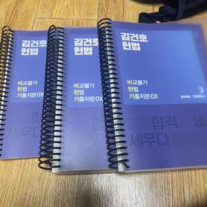 김건호 헌법 비헌기