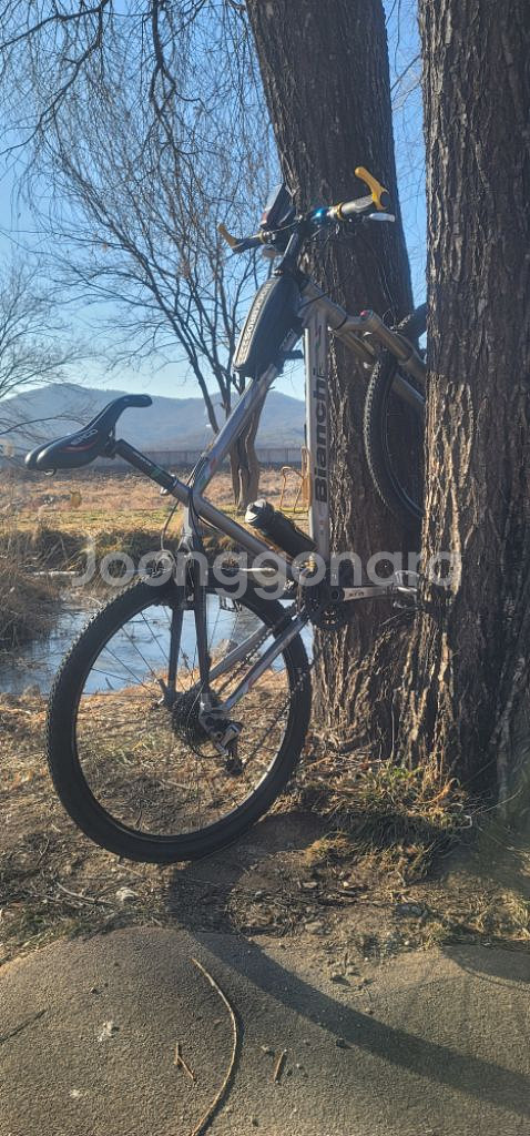 명품 비앙키mtb(XTR)--4