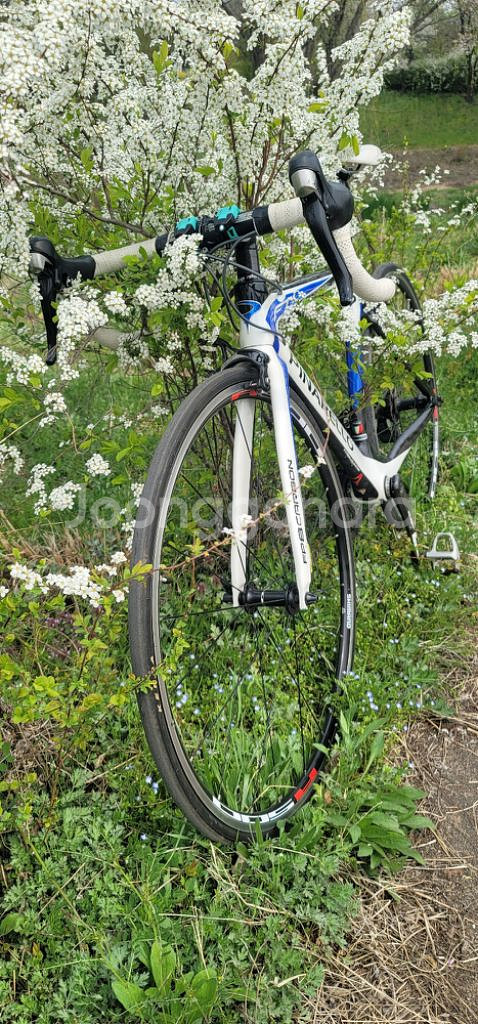 피나렐로 급처--7