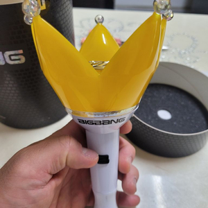빅뱅 응원봉