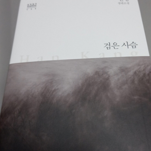 한강 검은사슴 도서 소설