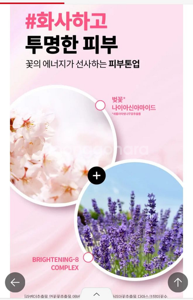 제이준 수분크림 슬리핑팩--6