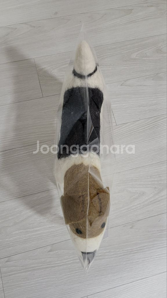 양모 비글 인형+몰랑이 키링--5