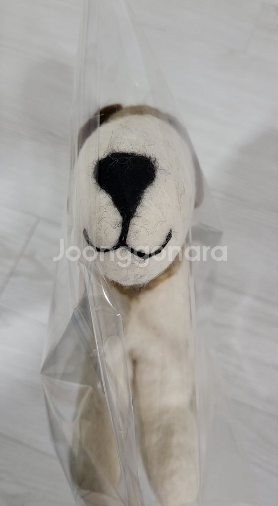 양모 비글 인형+몰랑이 키링--4