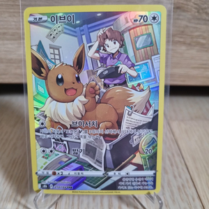 포켓몬카드 이브이 리자몽 chr일괄