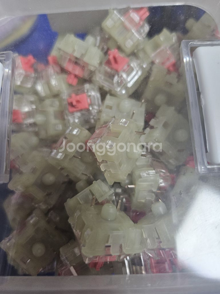 체리 mx rgb 저소음 적축 87개--0