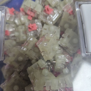 체리 mx rgb 저소음 적축 87개