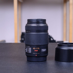 파나소닉 루믹스 G X Vario PZ 45-175mm