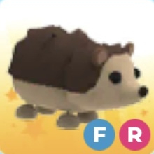 입양하세요