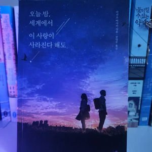 오늘밤 세계에서 이 사랑이 사라진다 해도 책