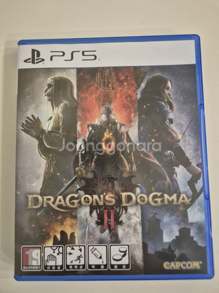 ps5 드래곤즈 도그마2--0