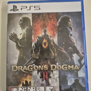 ps5 드래곤즈 도그마2
