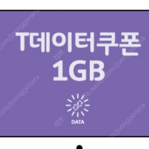 SKT T데이터쿠폰 1GB 판매