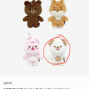 데이식스 쁘띠멀즈 쁘멀 돈