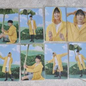 세븐틴 도겸 캐럿반 포카 개당 1000원에 팔아요