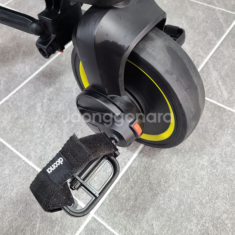 리키트라이크골드--3