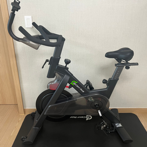 암웨이 25센트라이드 스피닝 자전거