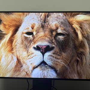 32gs95uv lg울트라게이밍 oled 4k 모니터