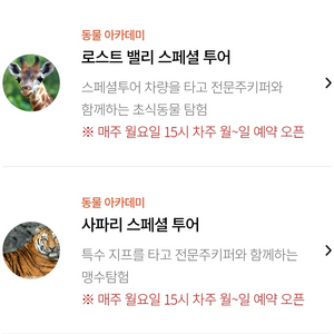 에버랜드 사파리스페셜투어 로스트밸리스페셜투어 4~5월