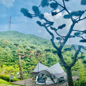 그라비티캠프원터치텐트(타프&익스텐션차광막포함)