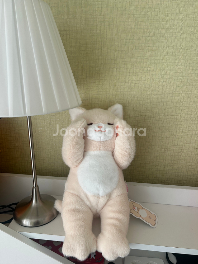 (새상품)고양이인형30cm--0