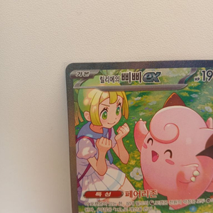 릴리에의삐삐sar 이미지