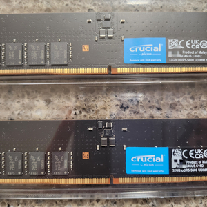 마이크로닉스 ddr5 64gb (32x2)램 판매합니다
