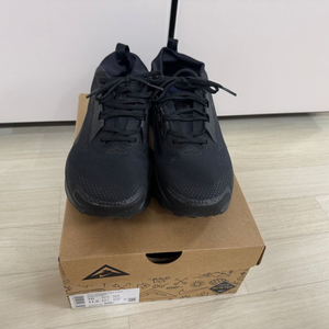 나이키 페가수스 트레일 5 GORE-TEX 블랙 280