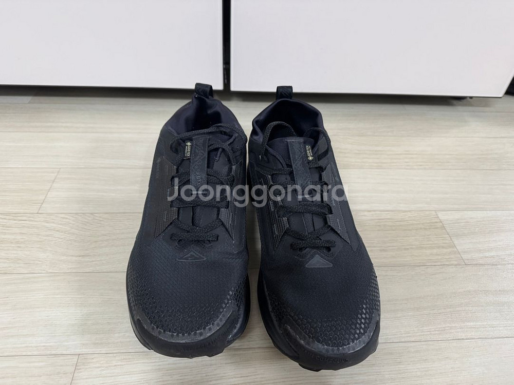 나이키 페가수스 트레일 5 GORE-TEX 275--0