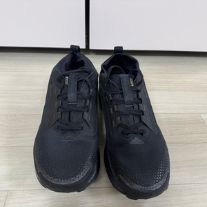 나이키 페가수스 트레일 5 GORE-TEX 275