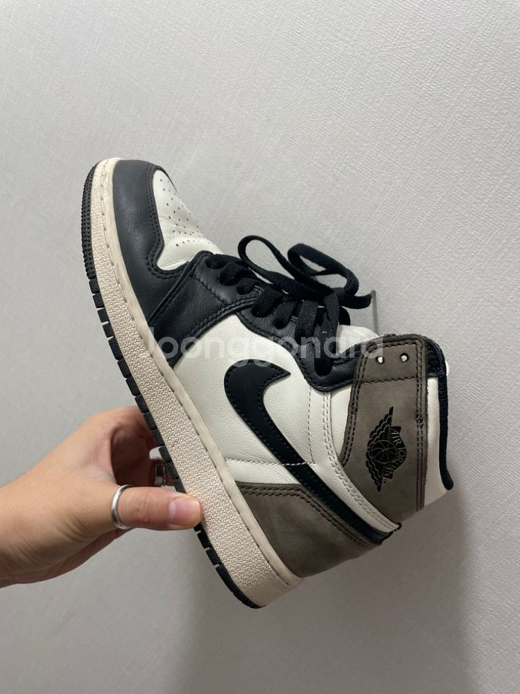 다크모카 조던하이GS 235--4