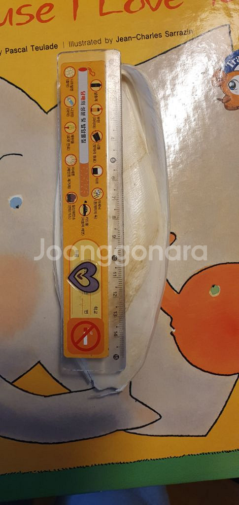 갑오징어뼈--2